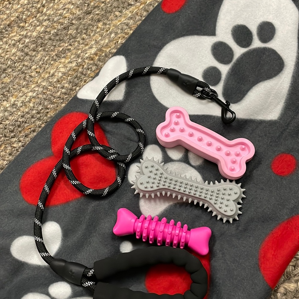 🆕Brand New 🆕🐾 Pet Packs 🐾 Dog Toys & Leash Combo 🆕🦴🐾Medium to Large - Picture 3 of 5
